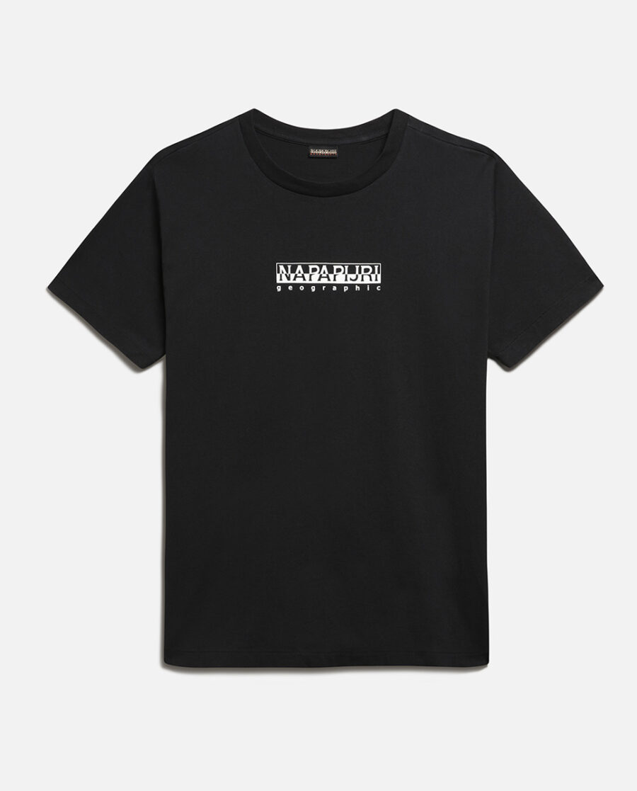 NA4GDR041 ALT13