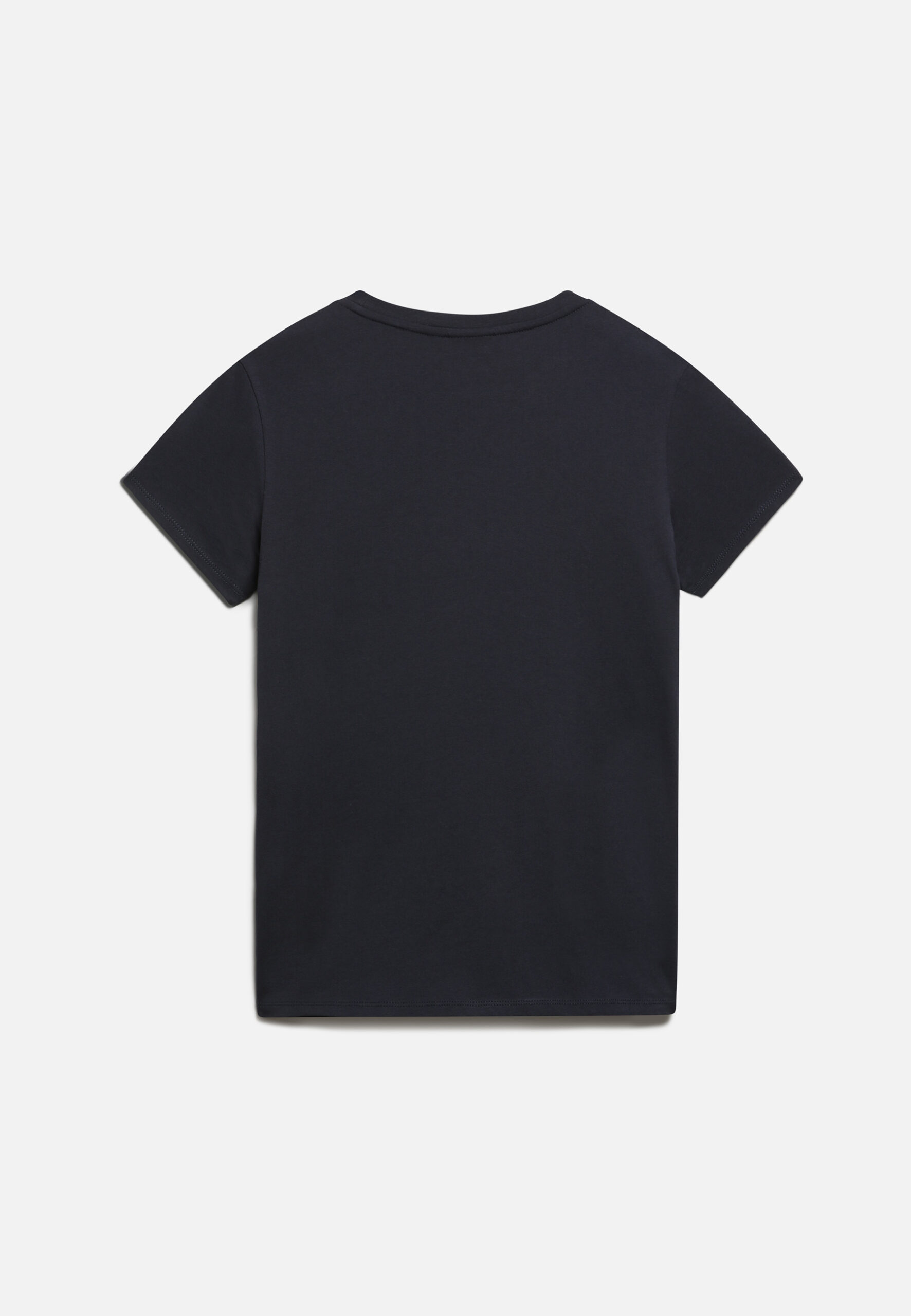 NA4GEH176 ALT1 scaled