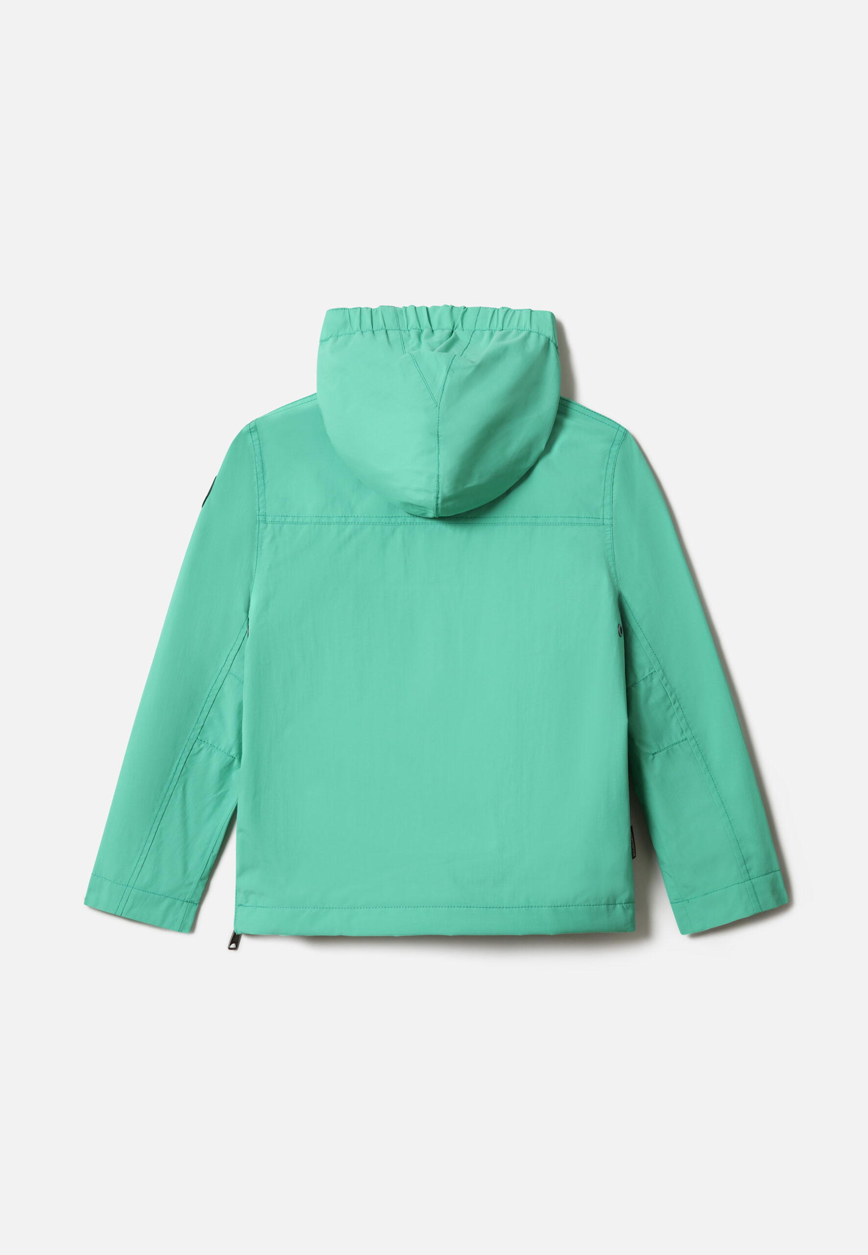 NA4GGDGF3 ALT1 scaled